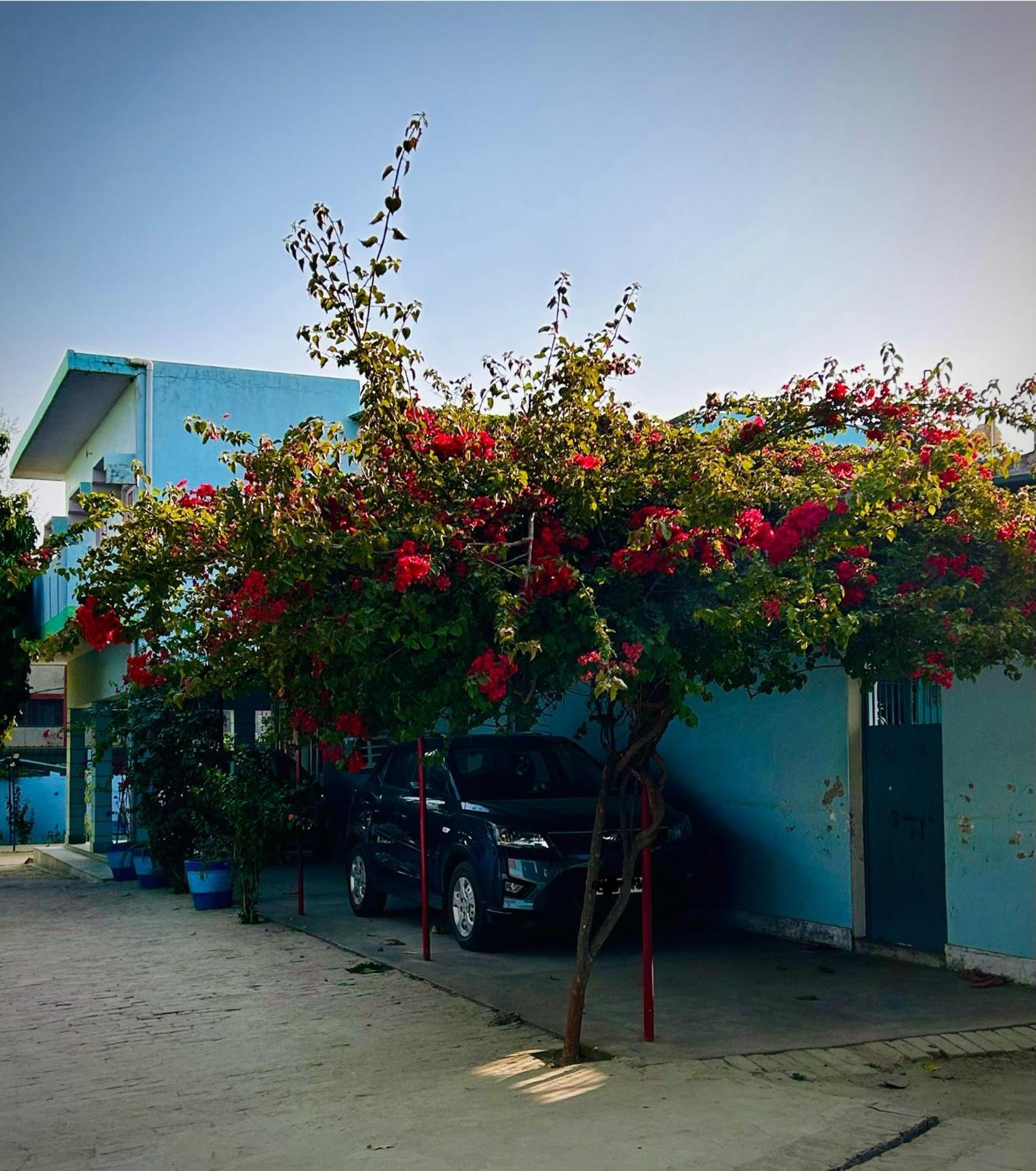 Gooseberry Garden Villa Ayodhya Екстериор снимка